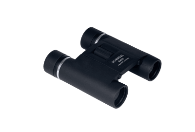NSO Norrdal 8x25 DCF