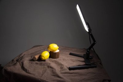 Nanlite Compac 20 LED Photo Light