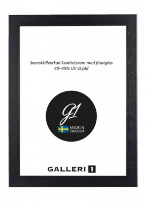 Galleri1 2E Svart 30x30