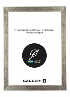 Galleri1 2B Silver 20x25