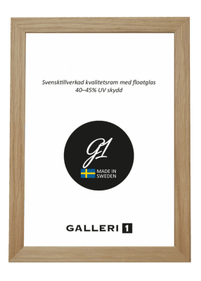 Galleri1 2N Ek 24x30