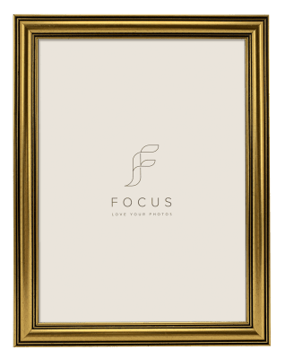 Focus Holly Guld 18x24