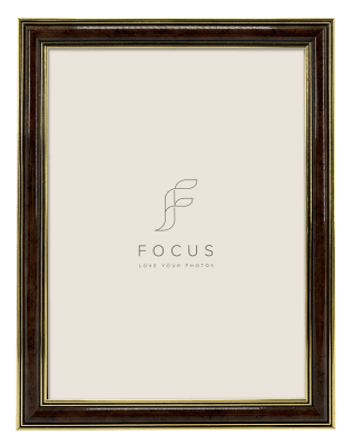 Focus Holly Light Root 18x24