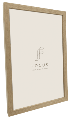 Focus Grace Ek 18x24