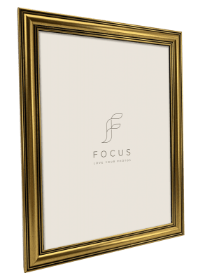 Focus Holly Guld 18x24