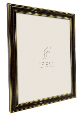 Focus Holly Light Root 18x24
