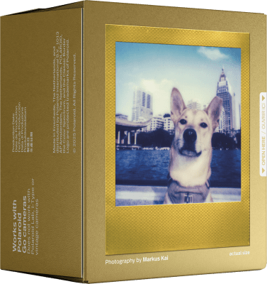 Polaroid Originals Color Go Film 16-Pack Guld