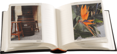 Focus Trend Line Super 100 10x15 Svart