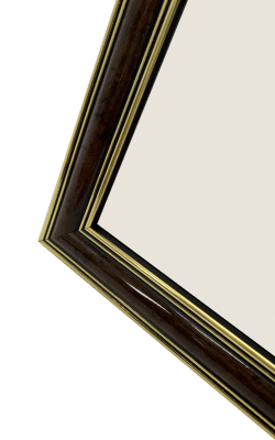 Focus Holly Light Root 18x24