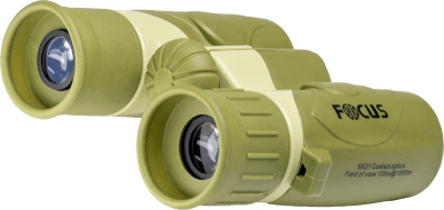 Focus Junior 6x21 Grön