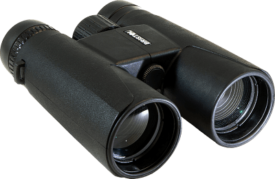 Focus Bristol 8x42