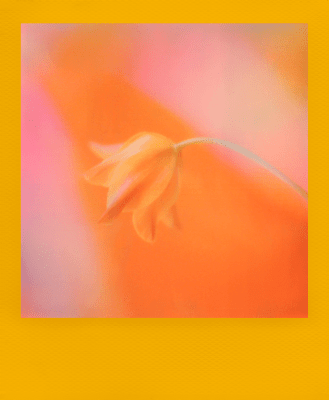 Polaroid Originals I-Type Film Färg Färgade Ramar