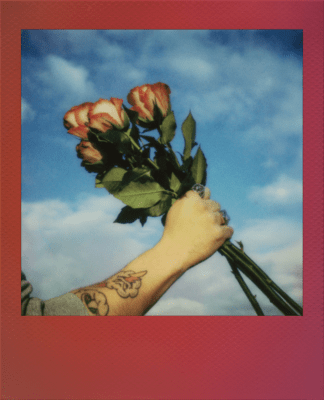 Polaroid Originals Color Go Film 16-Pack Gradient