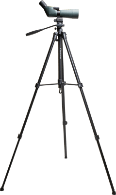 Focus Outdoor 20-60x60 + Stativ WF3950