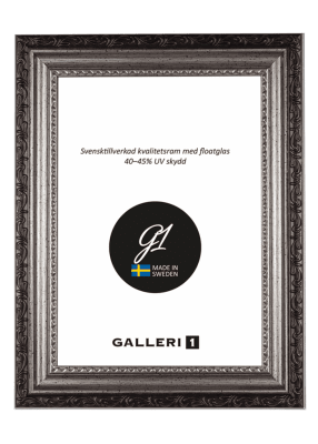 Galleri1 PS288S Silver 24x30