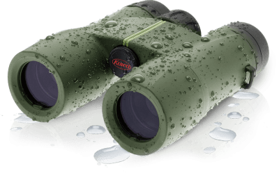 Kowa SV II 10x42