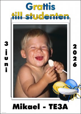 Studentskylt nr 29