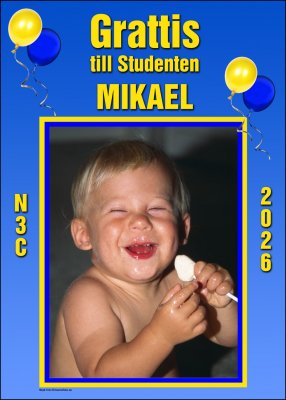 Studentskylt nr 32